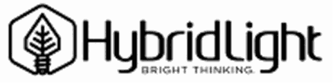 Hybrid Light