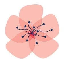 American Blossom Linens