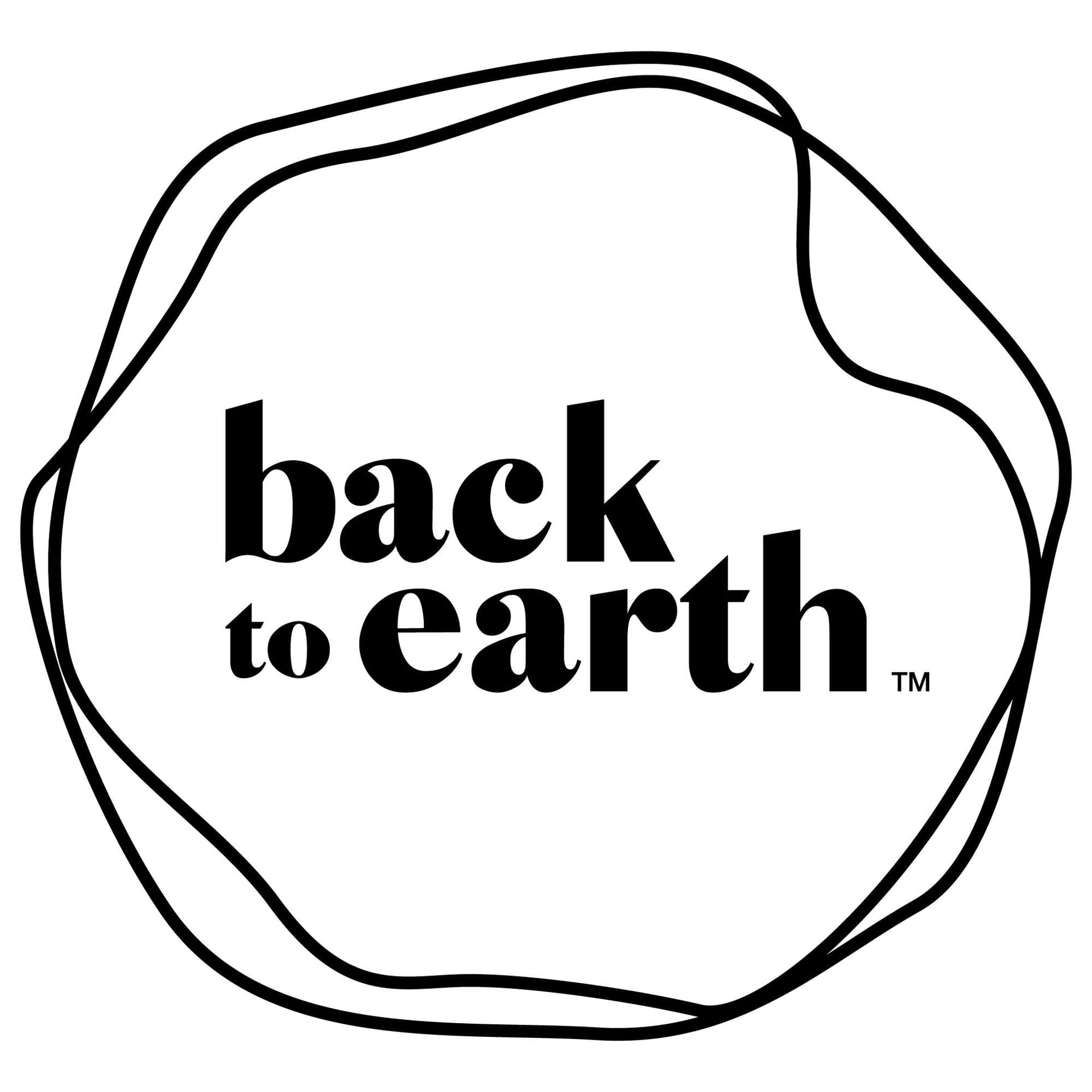 Back To Earth Skin