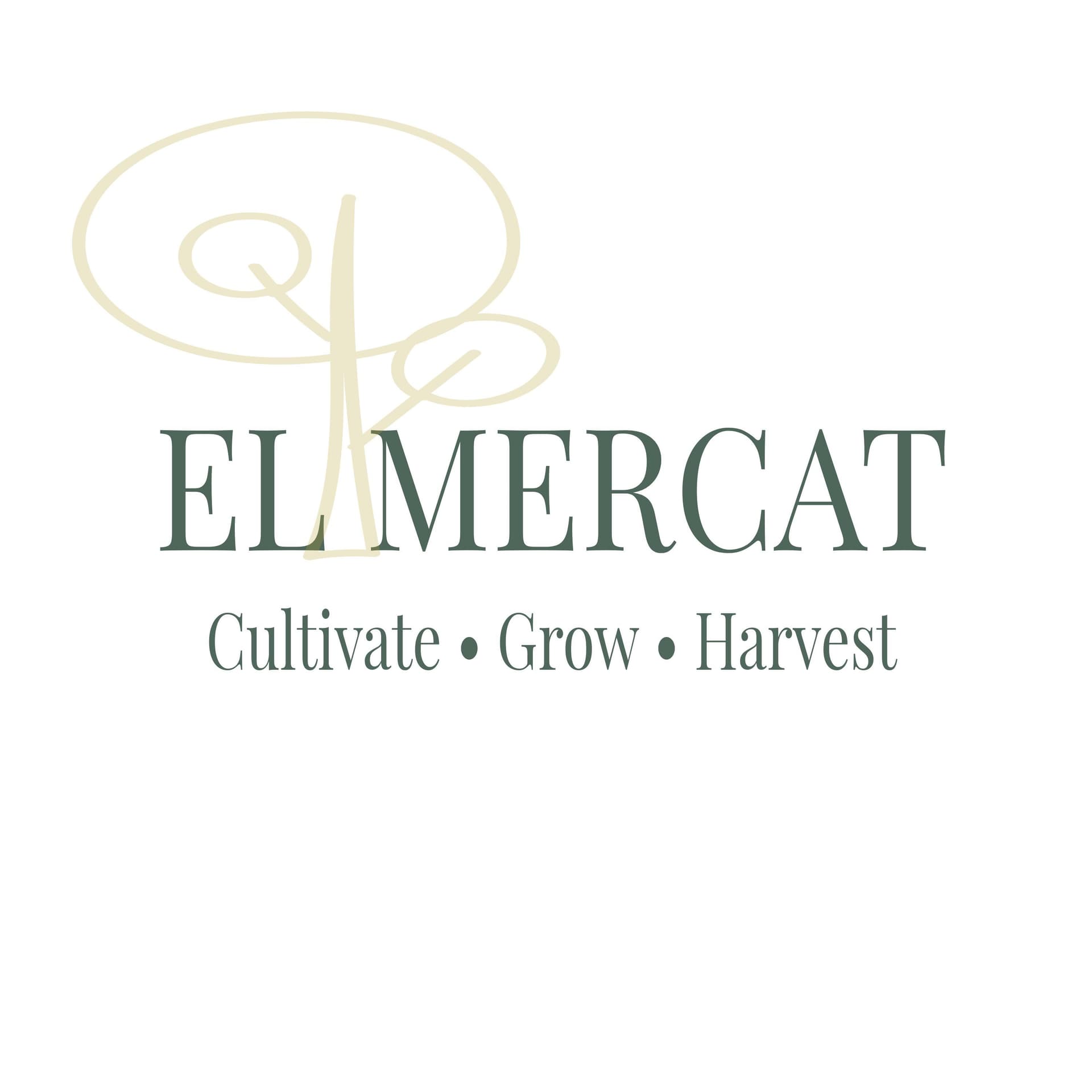 El Mercat