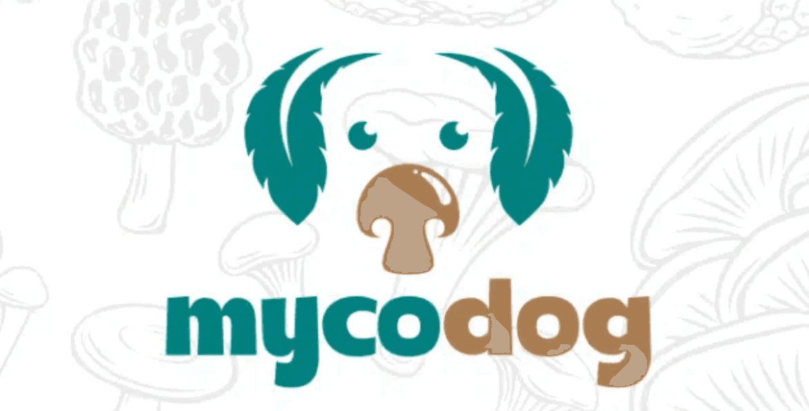 MycoDog