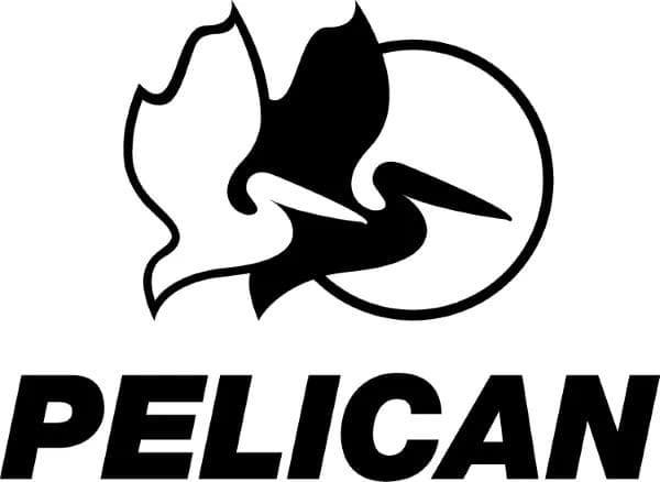 Pelican