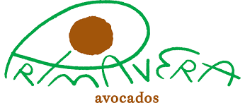 Primavera Avocados