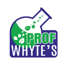 Professor Whyte's