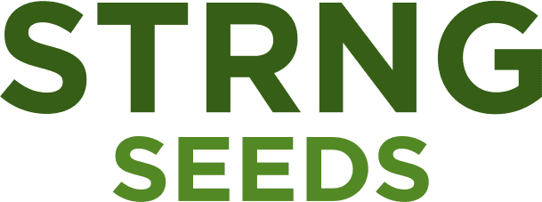 STRNG Seeds