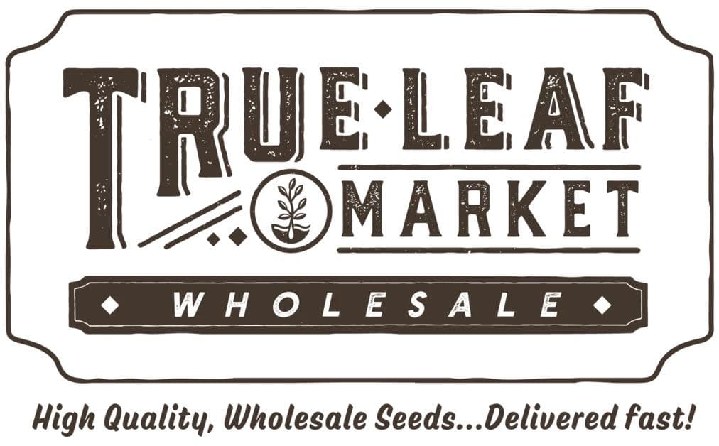True Leaf Market