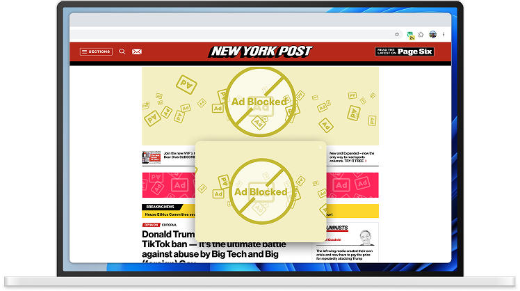 Adblocker Demo showing ad blocking in action